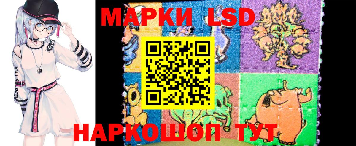 A-PVP Моздок