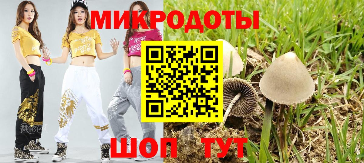 Галлюциногенные грибы мицелий Моздок