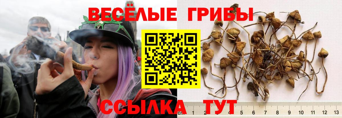Псилоцибиновые грибы мухоморы  Вход с VPN  Моздок 